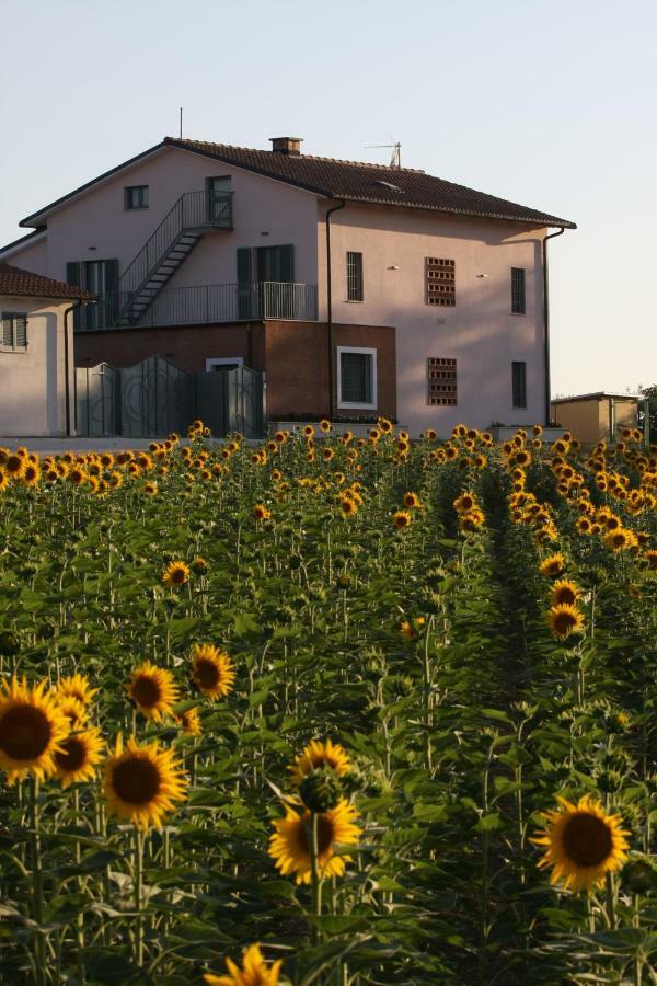 La Collina Del Girasole Villa Montecastrilli Exterior photo